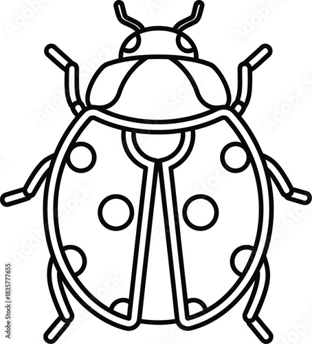 vector illustration of a beetle