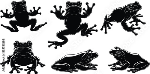Set of detailed black frog silhouettes, isolated vector illustration of amphibian toads, wild nature animal icons, flat design glyphs for logo graphic elements collection