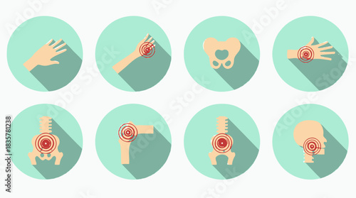 A vector illustration set showcases various human joints and bones, depicted in a flat design with long shadows, ideal for medical, anatomical, or educational purposes.