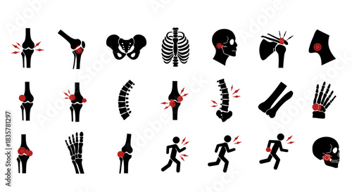 Comprehensive vector illustration showcases a detailed set of human joints and bones, providing an informative visual for medical or educational purposes, presented in a clean style.
