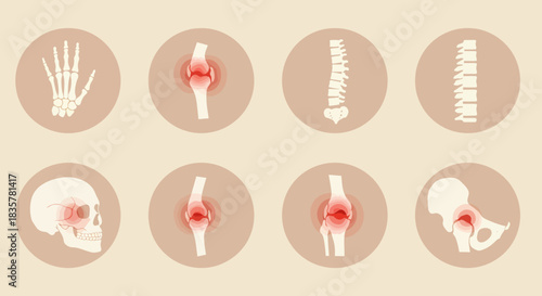 Vector illustration depicting a set of human joints and bones, showcasing anatomical structures with a focus on skeletal health and medical representations.