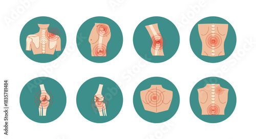 A detailed vector illustration showcases a set of human joints and bones, highlighting the skeletal structure with anatomical precision within a medical or educational context.