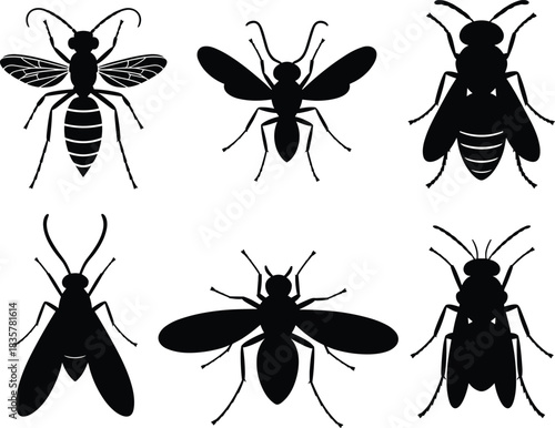 Collection of black insect silhouette vector illustration, bee, fly, wasp, and ant icons isolated on white background for nature and wildlife design