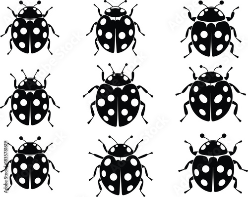 Collection of black silhouette ladybug icons, cute insect beetle symbols, spotted bug vector illustration set isolated on white background for design and decoration