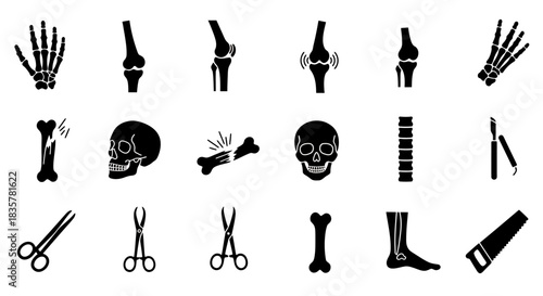 A detailed vector set showcasing various human joints and bones, including the hand, knee, skull, and foot, ideal for medical illustrations and educational resources.