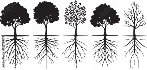 Silhouettes of Trees with Roots for Environmental Conservation or Nature Study Educational Materials 130 Characters
