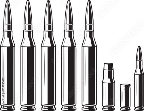 Ammunition Set Bullet Cartridge Collection Weaponry or Shooting Sport Illustration with Metal Details 130 Characters