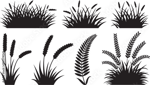 Collection of ornamental grass and wheat silhouettes in different shapes isolated on transparent background in simple style vector illustration