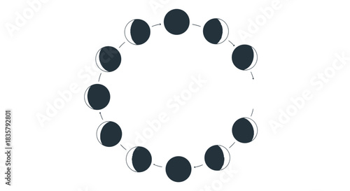 Lunar Progression Depicted as a Circle of Phases Against a Clean White Backdrop