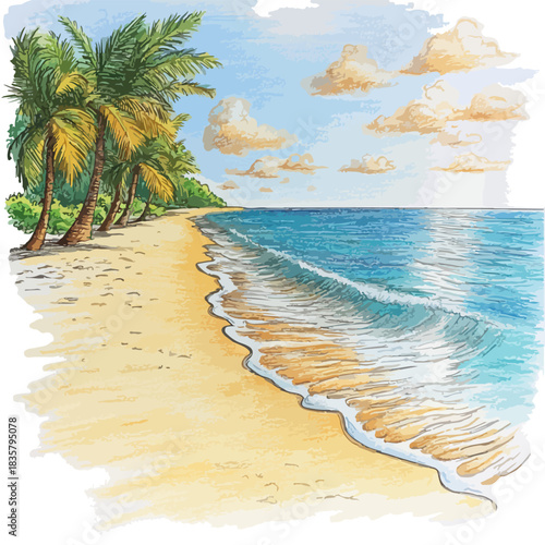 serene beach drawn vector illustration