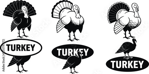 Black and white turkeys and turkey text logos on white background bird fowl