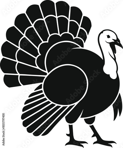 Black silhouette of a turkey with fanned tail feathers bird white