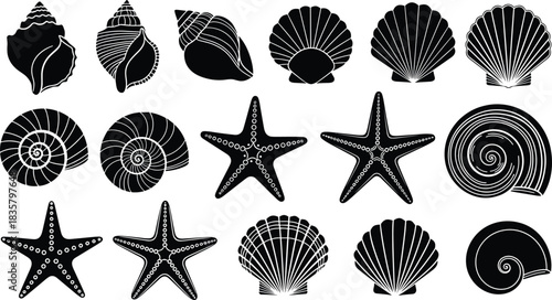 Collection of black and white silhouette illustrations of seashells and starfishes marine ocean