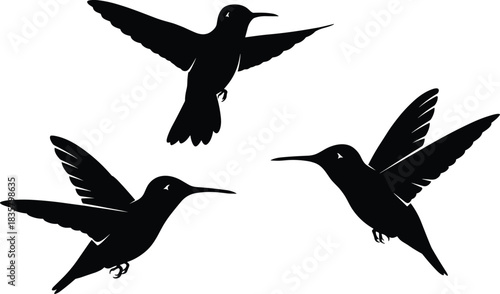 Three black silhouette hummingbirds in flight on white background flying