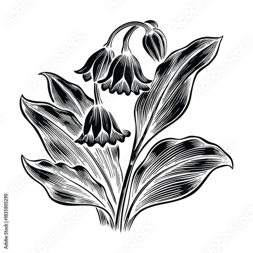 Hand drawn bluebell flowers vector with fine line details elegant stems and natural spring colors