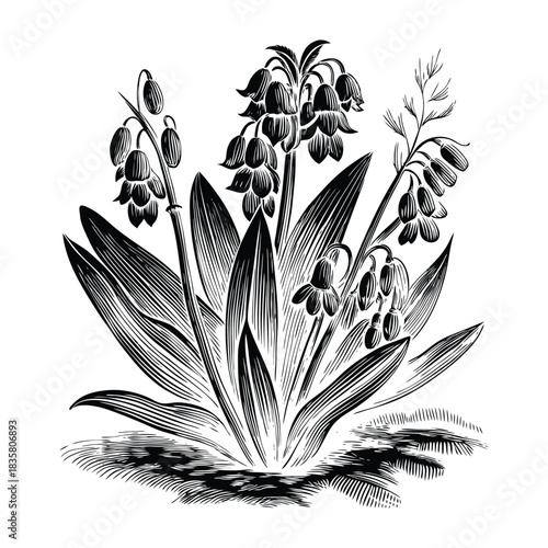 Realistic botanical vector of bluebell flowers with soft pastel tones intricate petals and stems