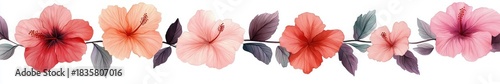 Seamless horizontal floral border pattern of hibiscus flowers in shades of red, pink, and peach with detailed petals and dark purple and green leaves on white background
