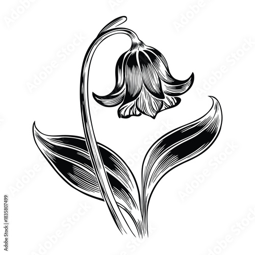 Elegant vector composition of bluebell flowers with realistic leaves stems and soft shadows