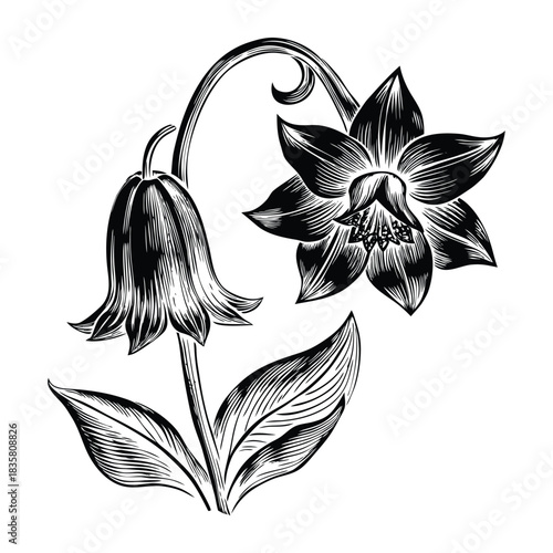 Vector illustration of bluebell flowers with isolated elements and charming floral composition
