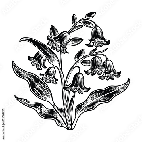 Vector set of bluebell flowers with natural leaves stems and charming floral arrangement