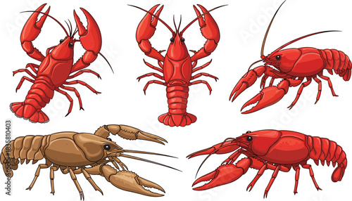 Cartoon lobsters and crayfish in red and brown — stylized crustacean illustrations for seafood, marine, or educational-themed designs