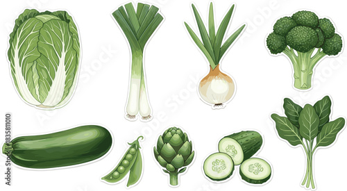 Cartoon-style green vegetables including cabbage, broccoli, zucchini, and spinach — colorful food illustrations for nutrition, education, and culinary themes