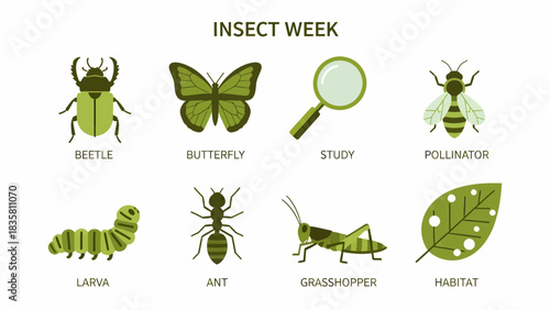 Graphic icons of insects tools and a leaf labeled for Insect Week