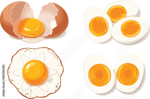Realistic illustrations of raw, fried, soft-boiled, and hard-boiled eggs — culinary artwork showing diverse cooking styles and textures