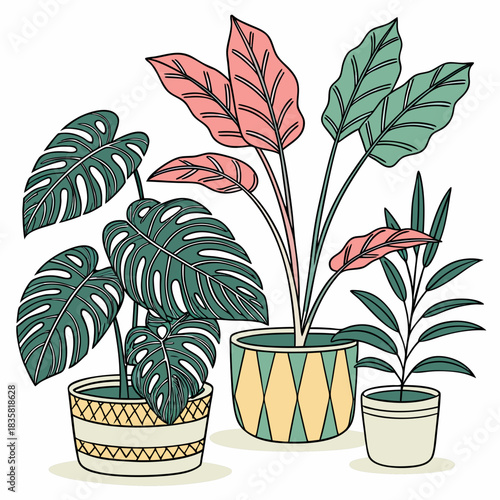 A charming collection of potted houseplants featuring large monstera leaves and delicate pink and green foliage in decorative planters against a clean white background