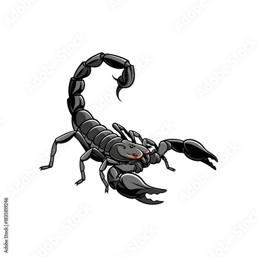 scorpion isolated on white background