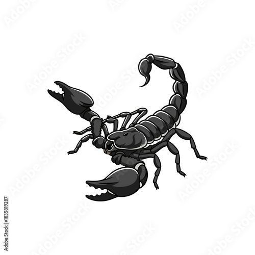 scorpion isolated on white background