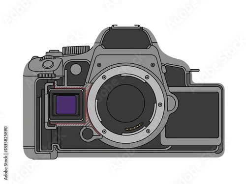 Detailed cross-section illustration of a digital camera body, showcasing the internal image sensor and lens mount mechanism
