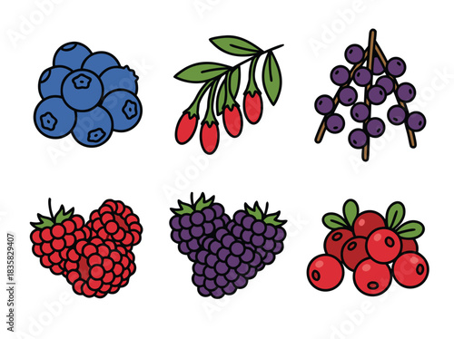 Assorted Berry Collection - Fresh and Colorful Fruits.