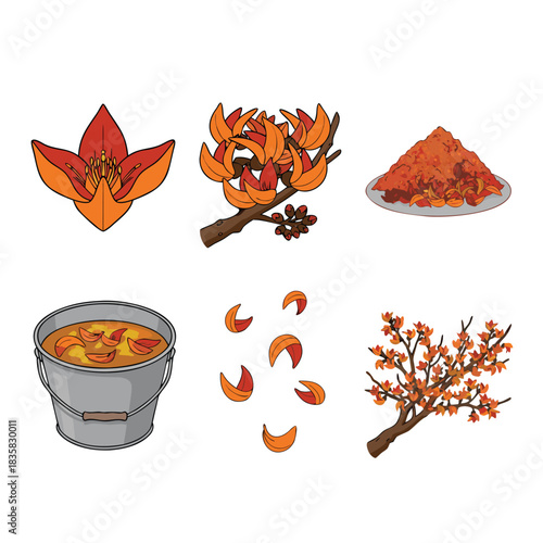 Butea Monosperma - Palash Flower and its Uses.