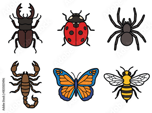 Diverse Insect Collection Illustration for Education.