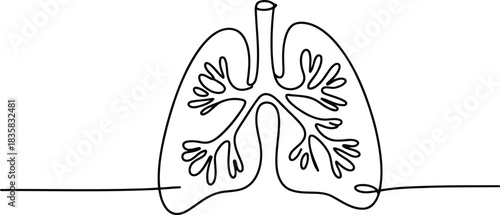 A clean continuous line drawing illustrates the detailed internal structure of the human lungs