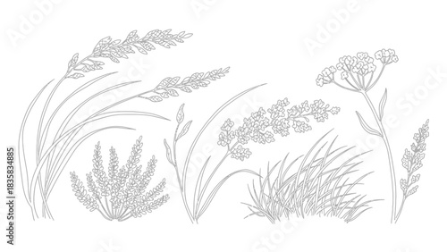 Elegant floral line art with meadow grass and wildflowers for minimalist designs, botanical patterns, and graceful nature-inspired projects with a simple aesthetic