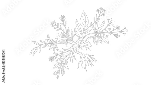 Elegant botanical line art with delicate floral elements, perfect for timeless designs, wedding invitations, and creating a natural, organic aesthetic.