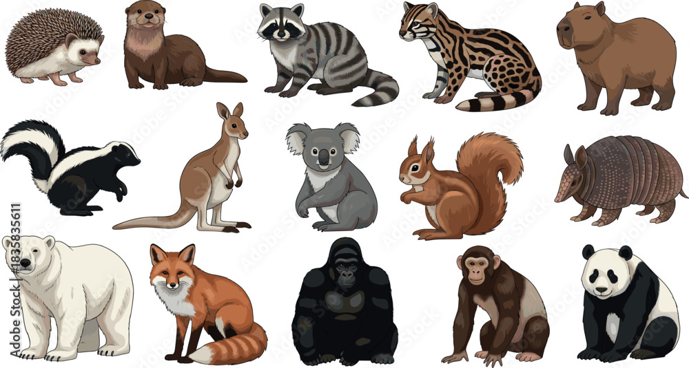 Fototapeta premium Set of diverse wild animals including raccoon fox panda koala monkey bear and woodland creatures in detailed cartoon vector illustration