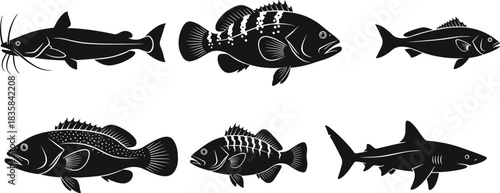 Saltwater and Freshwater Fish Silhouettes Set Featuring Shark Catfish and Bass Vector Illustration