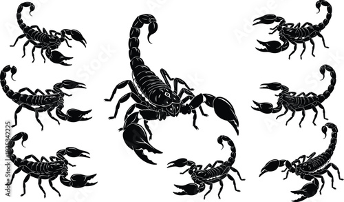Scorpion silhouettes set black arachnid vector illustration for tattoo and zodiac logo design.