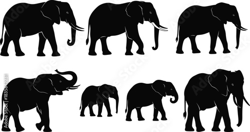 Set of African elephant silhouettes walking and standing vector illustration isolated on white background