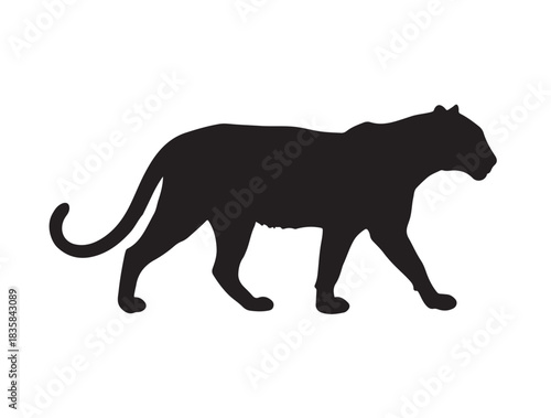 Group image of Chihuahua dog in standing style white background.