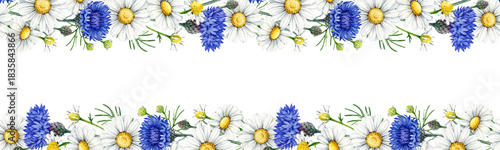 Bild auf Leinwand Chamomile flowers with blue cornflowers seamless border decor element vintage style watercolor illustration