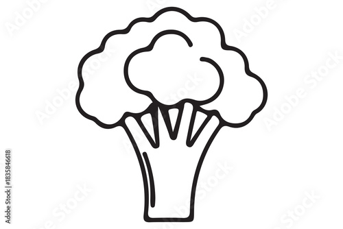 Simple line art illustration of a fresh broccoli floret with a thick stem isolated on white background