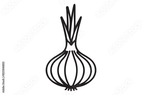 Simple outline drawing of a fresh onion with green sprouts isolated on white background