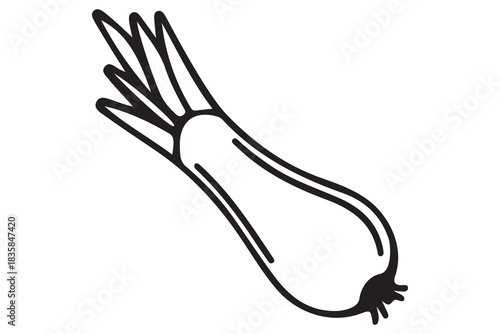 Simple hand drawn line art illustration of a single shallot or small onion with green tops isolated on white background