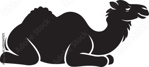 Black silhouette of a dromedary camel resting on a white background vector
