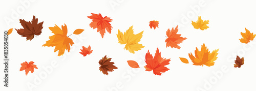 A vibrant vector illustration of colorful autumn leaves falling and blowing across a clean white background, perfect for seasonal designs.