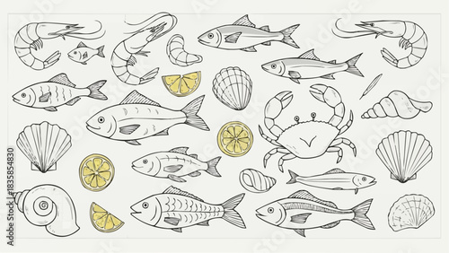 Hand drawn seafood collection with various fish, shrimp, crab, and shells.